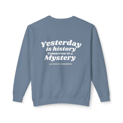 Unisex NDBM. Lightweight Crewneck