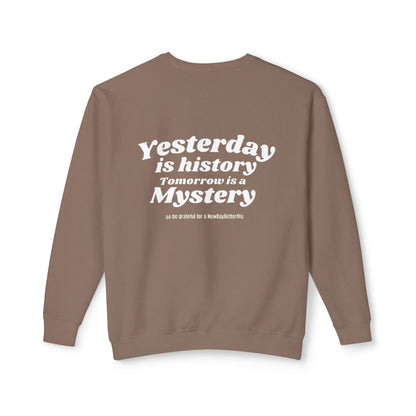 Unisex NDBM. Lightweight Crewneck